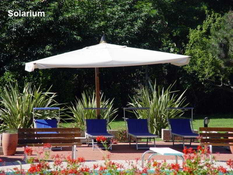 A Point Arezzo Park